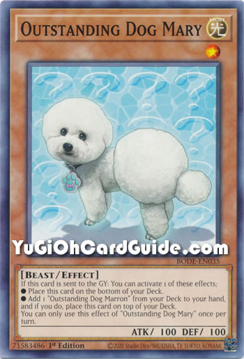 Yu-Gi-Oh Card: Outstanding Dog Mary