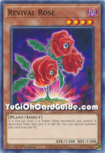 rose guy yu gi oh season 5
