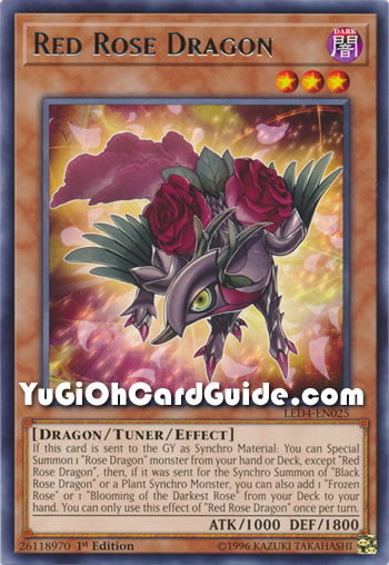 Yu-Gi-Oh Card: Red Rose Dragon