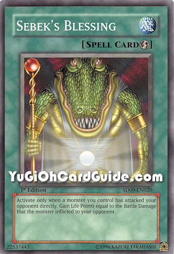 Yu-Gi-Oh Card: Sebek's Blessing